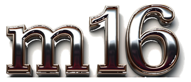 m16 logo